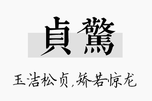 贞惊名字的寓意及含义