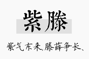 紫滕名字的寓意及含义