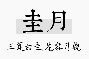 圭月名字的寓意及含义