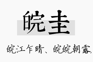 皖圭名字的寓意及含义