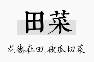 田菜名字的寓意及含义