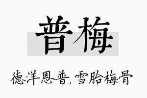 普梅名字的寓意及含义