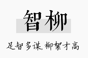 智柳名字的寓意及含义