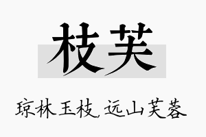 枝芙名字的寓意及含义