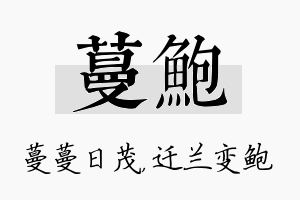 蔓鲍名字的寓意及含义