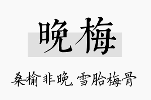 晚梅名字的寓意及含义