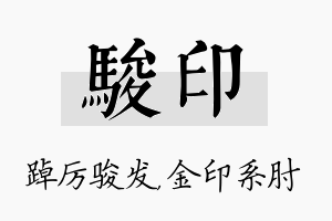 骏印名字的寓意及含义