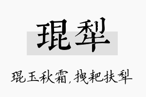 琨犁名字的寓意及含义