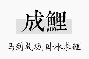 成鲤名字的寓意及含义