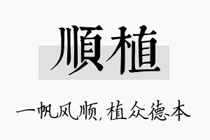 顺植名字的寓意及含义