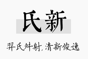 氏新名字的寓意及含义