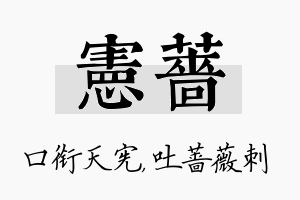 宪蔷名字的寓意及含义