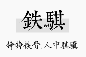 铁骐名字的寓意及含义