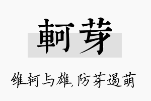 轲芽名字的寓意及含义