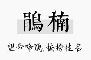 鹃楠名字的寓意及含义