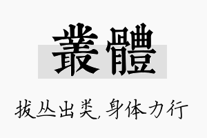 丛体名字的寓意及含义