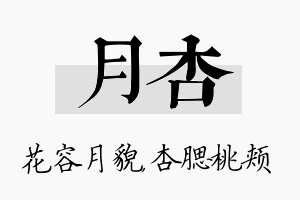 月杏名字的寓意及含义