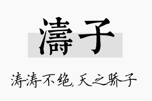 涛子名字的寓意及含义