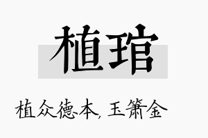 植琯名字的寓意及含义