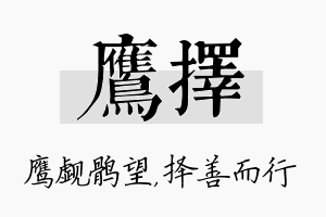 鹰择名字的寓意及含义