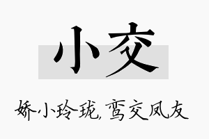 小交名字的寓意及含义