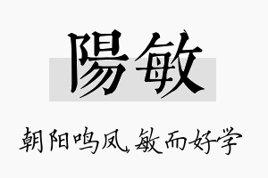 阳敏名字的寓意及含义