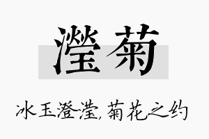 滢菊名字的寓意及含义