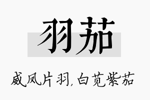 羽茄名字的寓意及含义