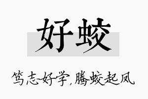 好蛟名字的寓意及含义