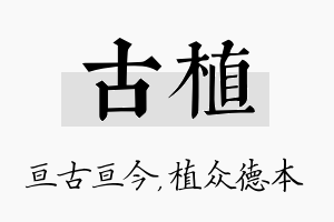 古植名字的寓意及含义