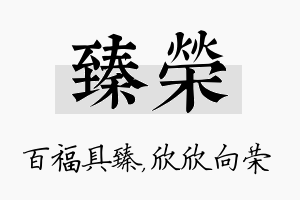 臻荣名字的寓意及含义