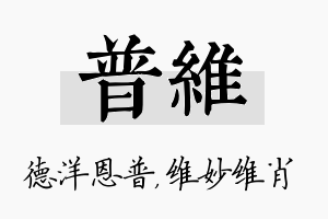 普维名字的寓意及含义