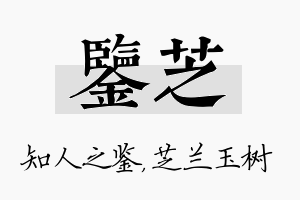 鉴芝名字的寓意及含义