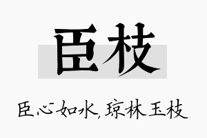 臣枝名字的寓意及含义