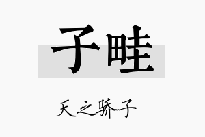 子畦名字的寓意及含义