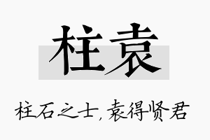 柱袁名字的寓意及含义