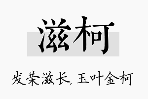 滋柯名字的寓意及含义