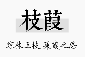 枝葭名字的寓意及含义