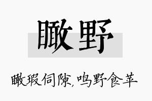 瞰野名字的寓意及含义