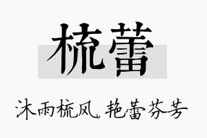 梳蕾名字的寓意及含义