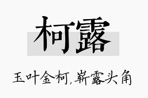 柯露名字的寓意及含义