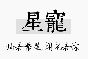 星宠名字的寓意及含义