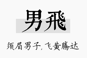 男飞名字的寓意及含义