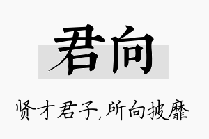 君向名字的寓意及含义