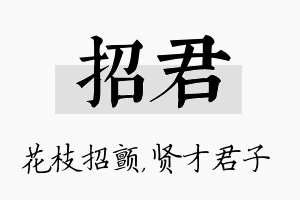 招君名字的寓意及含义