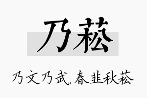 乃菘名字的寓意及含义