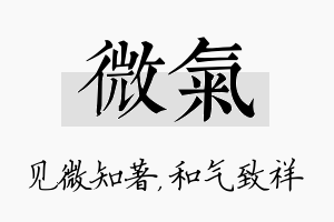 微气名字的寓意及含义