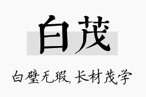 白茂名字的寓意及含义