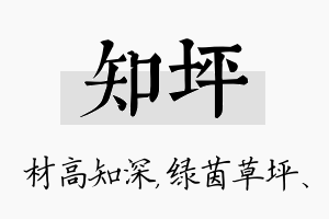 知坪名字的寓意及含义