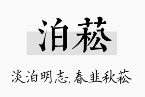 泊菘名字的寓意及含义